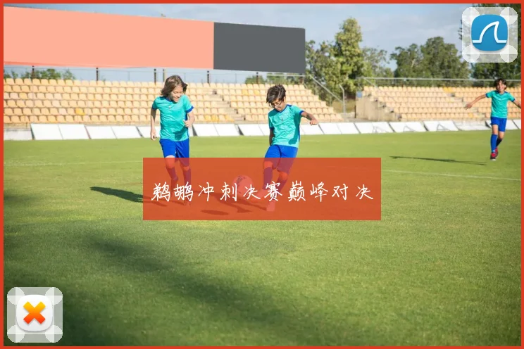 鹈鹕冲刺决赛巅峰对决