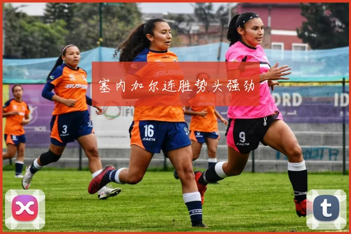 塞内加尔连胜势头强劲
