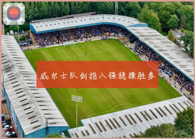 威尔士队剑指八强稳操胜券