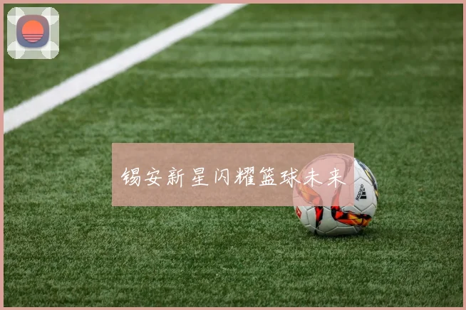 锡安新星闪耀篮球未来