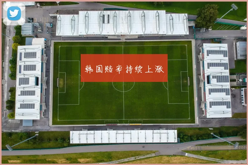 韩国赔率持续上涨