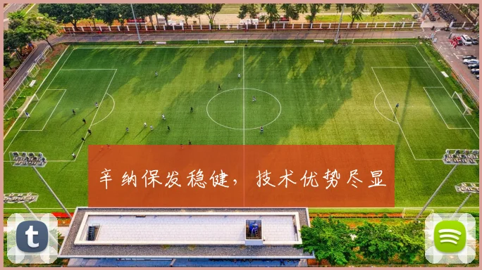 辛纳保发稳健，技术优势尽显