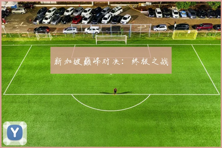 新加坡巅峰对决：终极之战