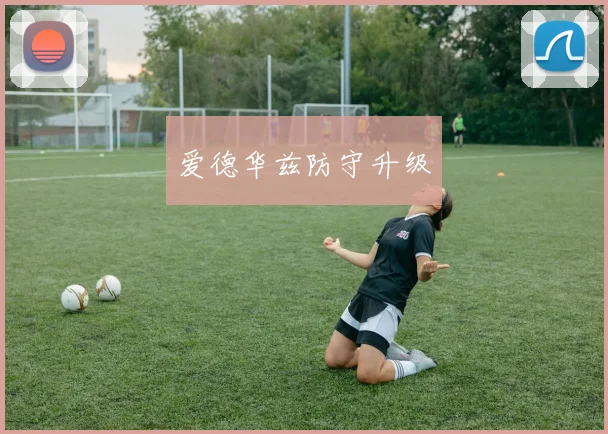 爱德华兹防守升级