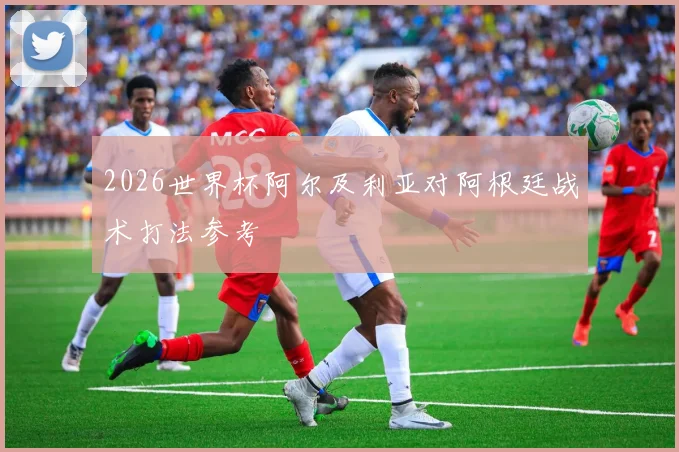 2026世界杯阿尔及利亚对阿根廷战术打法参考