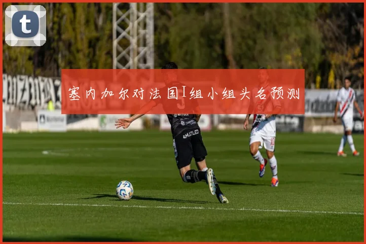 塞内加尔对法国I组小组头名预测
