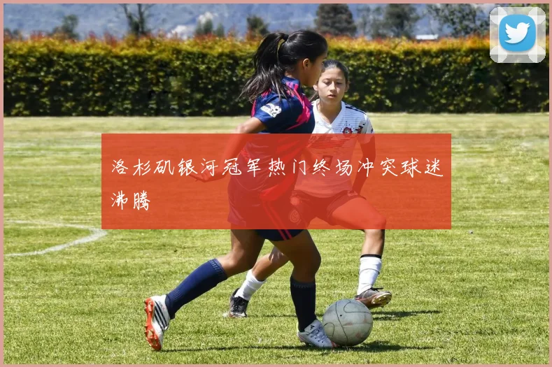 洛杉矶银河冠军热门终场冲突球迷沸腾