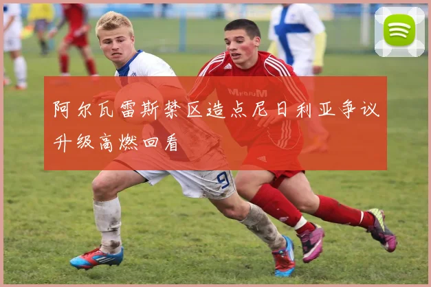阿尔瓦雷斯禁区造点尼日利亚争议升级高燃回看