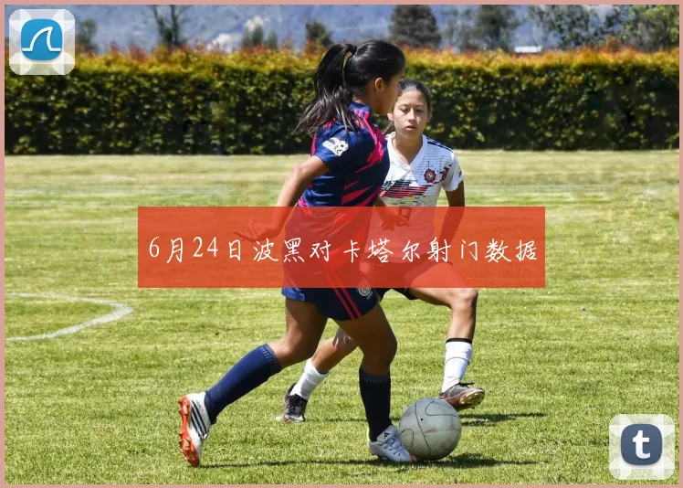 6月24日波黑对卡塔尔射门数据