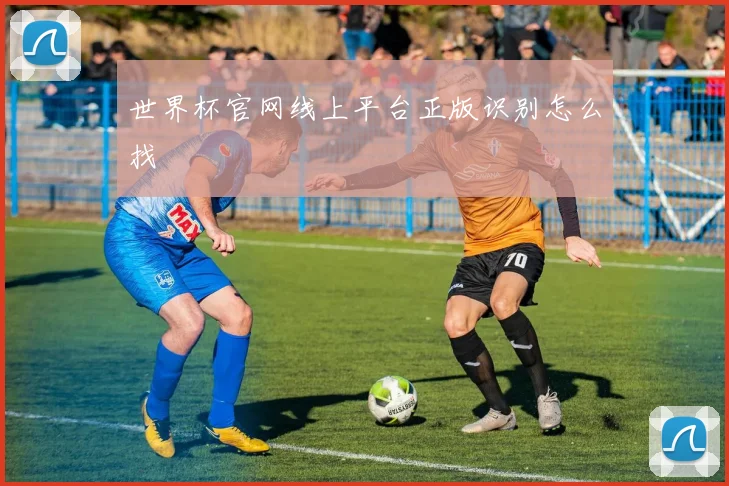 世界杯官网线上平台正版识别怎么找
