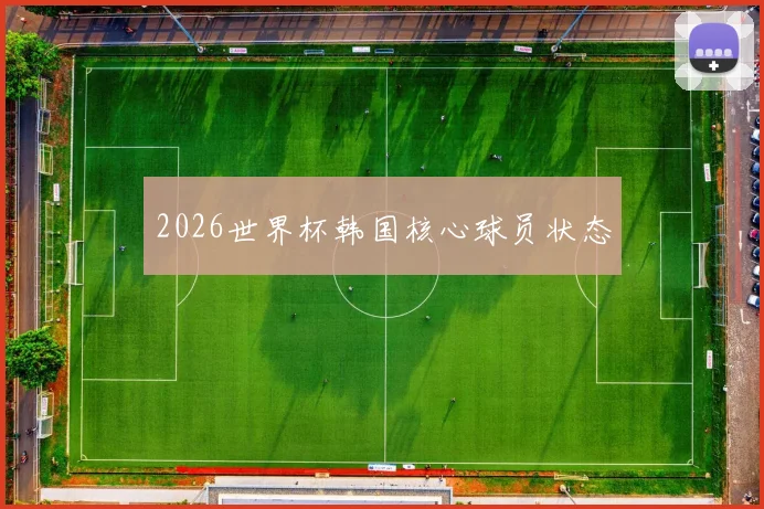 2026世界杯韩国核心球员状态