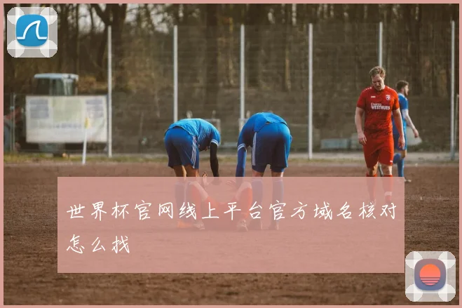 世界杯官网线上平台官方域名核对怎么找