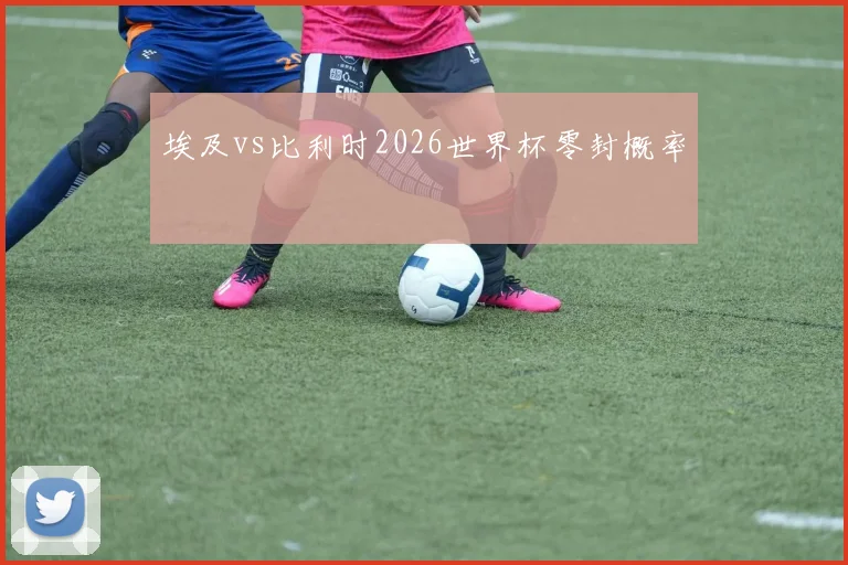 埃及vs比利时2026世界杯零封概率