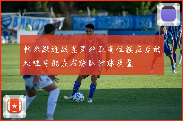 帕尔默迎战克罗地亚高位接应后的处理可能左右球队控球质量